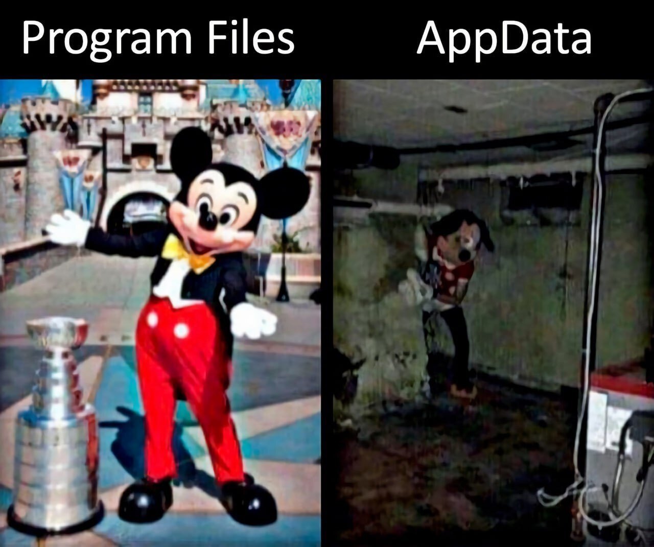 1718192014155084034.jpg