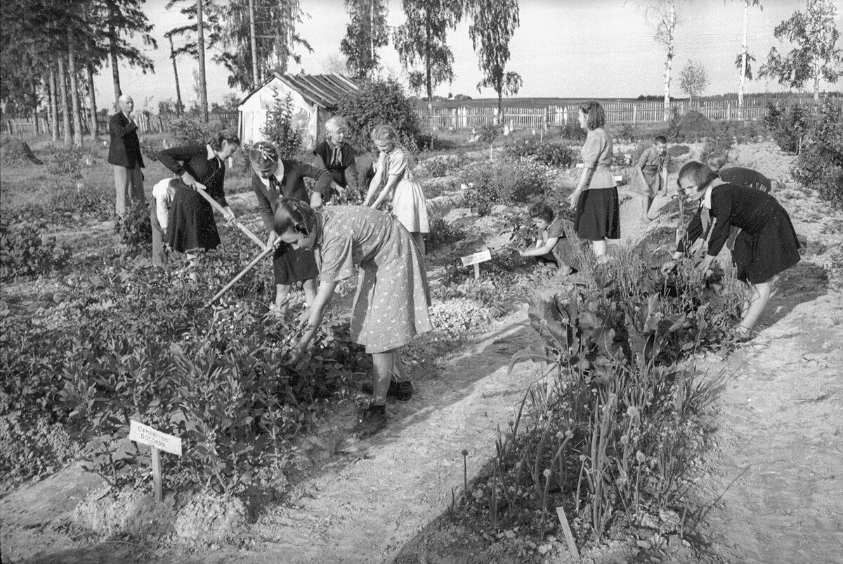 Всех с днём юного натуралиста | Пикабу