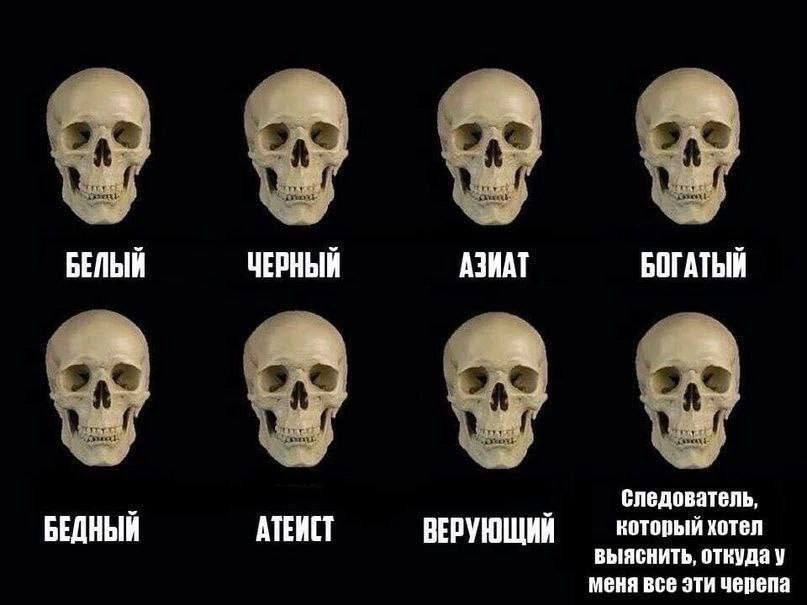 1720111908156863868.jpg