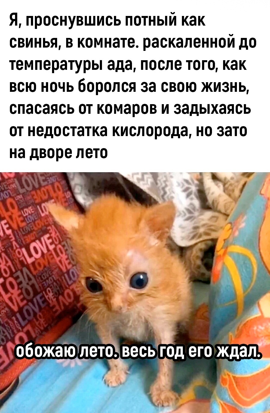 172071426218436917.jpg