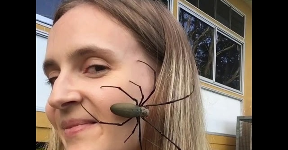 Игра паук бегает андроид. Маска в инстаграм с пауком на лице. Камера приложение паук по лицу. Как создать свою маску в снэпчате. Супер паук.