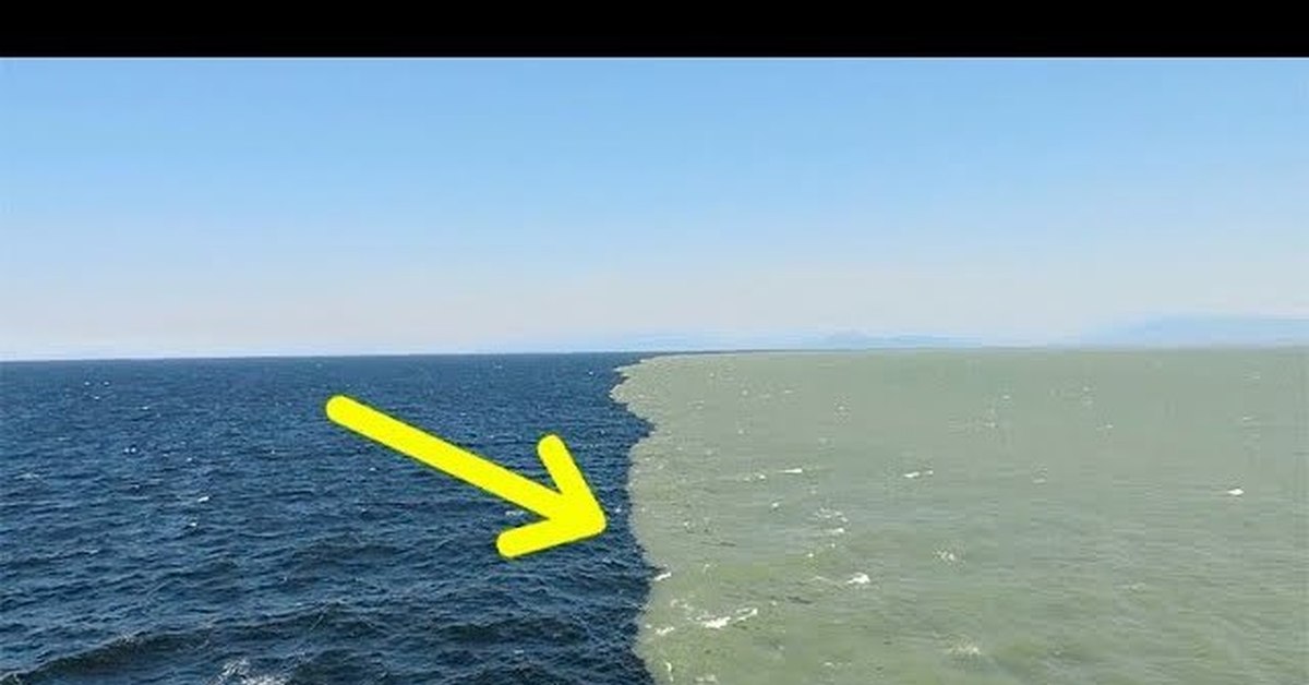 Воды океанов не смешиваются. Галоклин Балтийское море. Северное и Балтийское море граница. Галоклин Скаген. Стык двух морей.