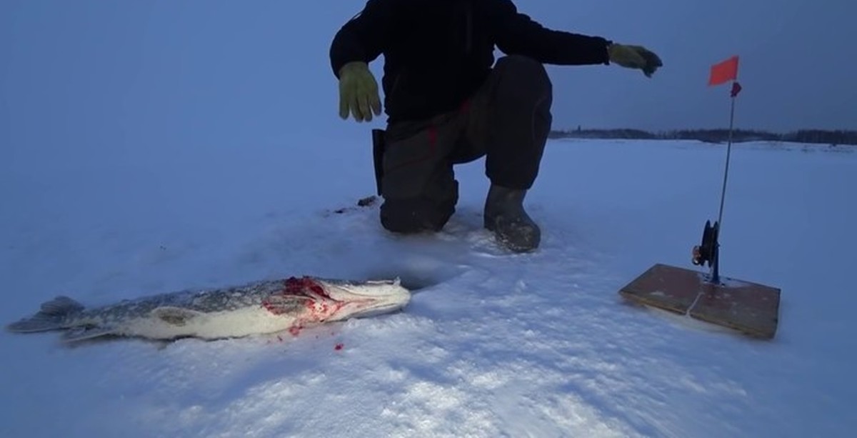 Рыбалка в якутии зимой 2020 новое