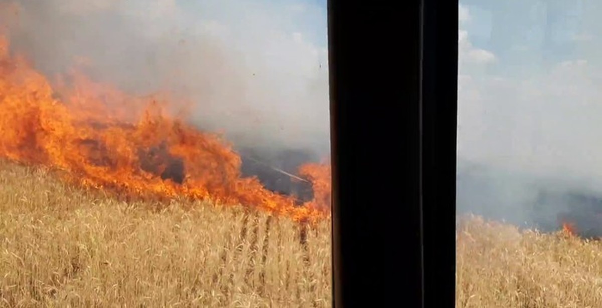 Спасенное поле. Пожар на обручего на поле. Убережем хлеб от огня!. Хлеб горит. Горит поле в Плавском районе.