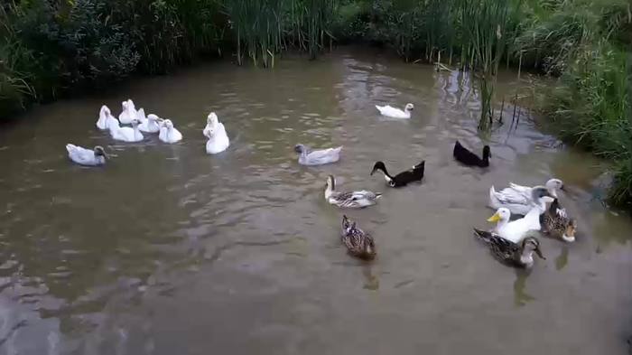 ������������