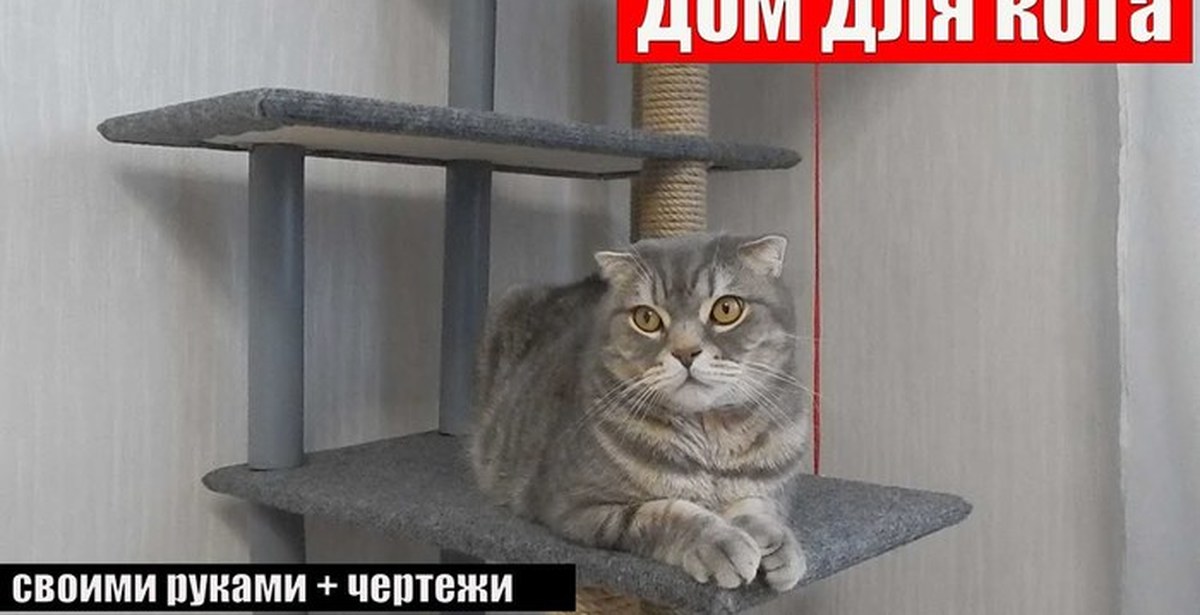Домик-лазилка для кота, своими руками | Пикабу