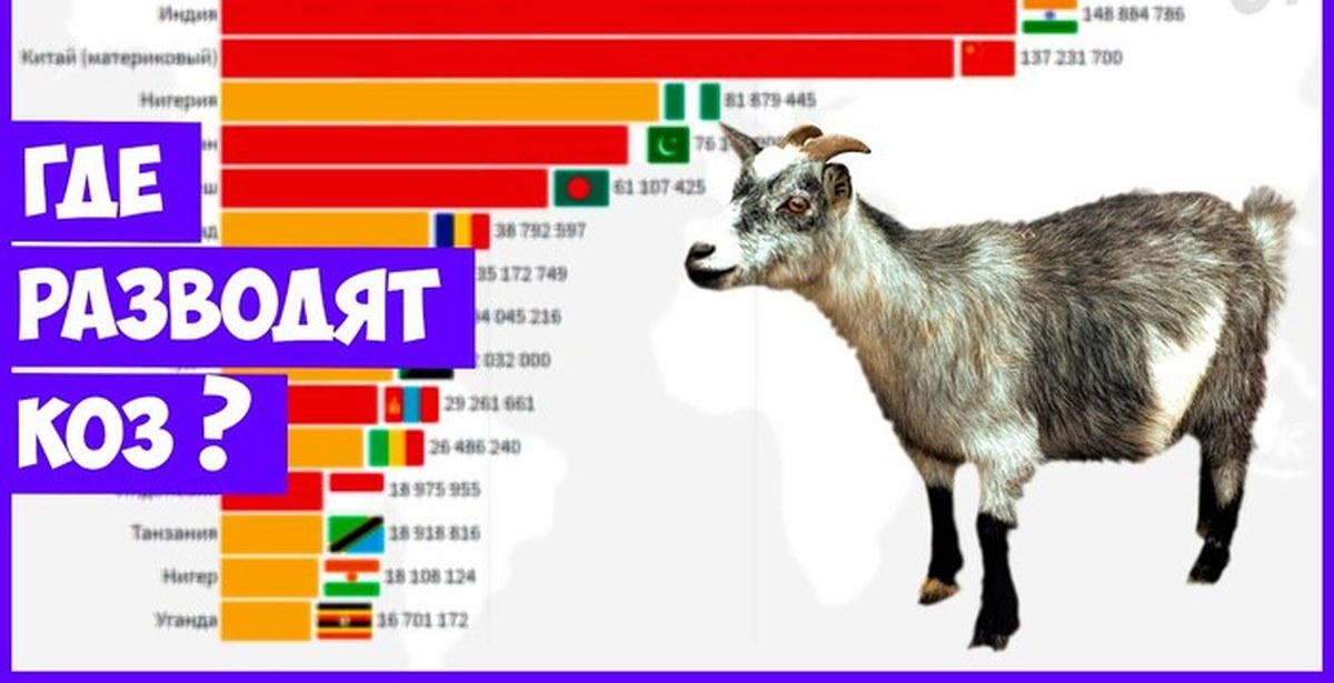 Страны лидирующие в разведении свиней