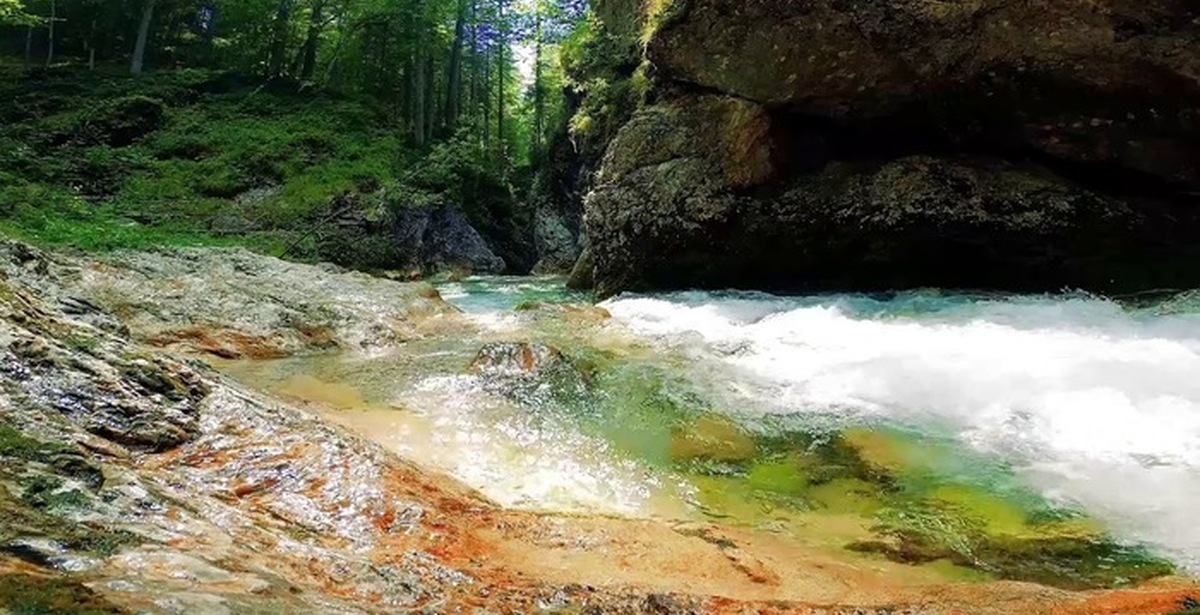 Видео со звуками природы. Релаксация в лесу. Убаюкала река. Звук реки. Звуки природы 10 часов.