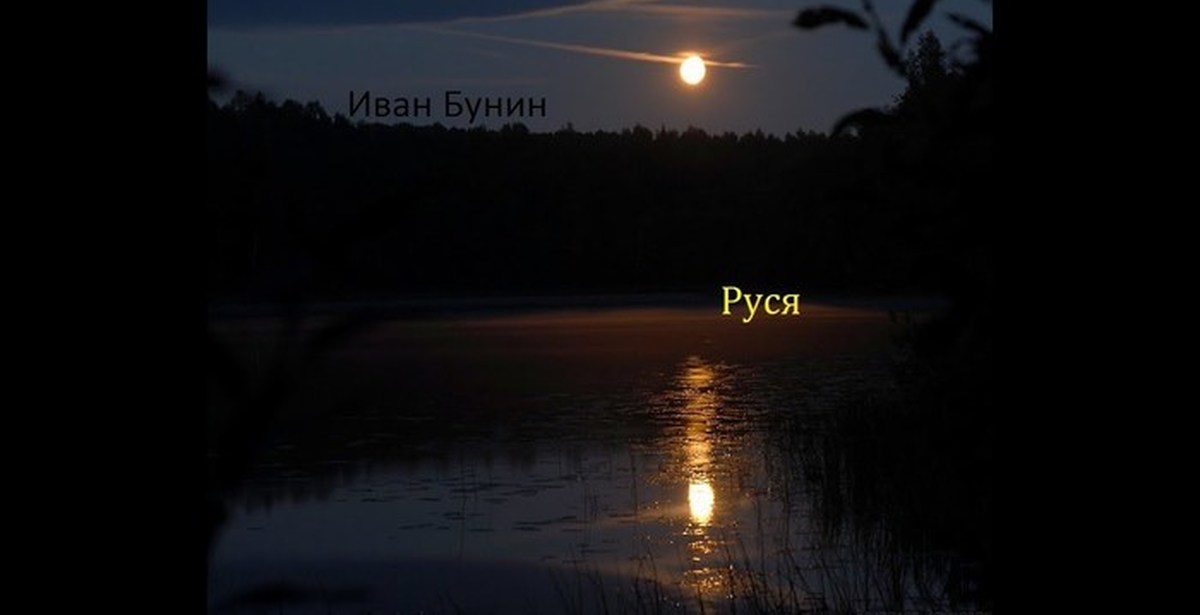 Луна купается. Река ночью. Ночное купание. Ночь река осень. Осеннее озеро ночью.