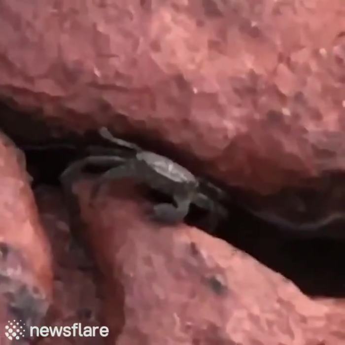 ������������