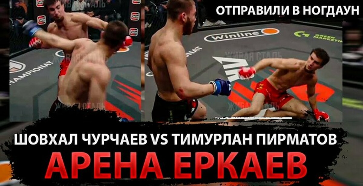 шовхал чурчаев статистика боев