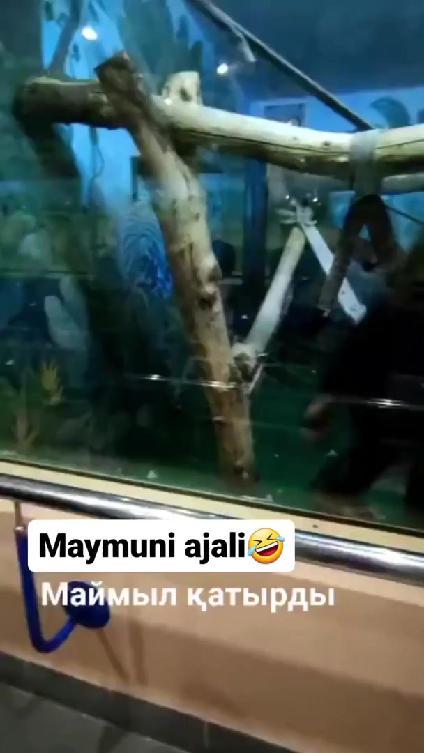 Толық қыздардың жеке суреттері Порно фото трахают с сперму в ауызе