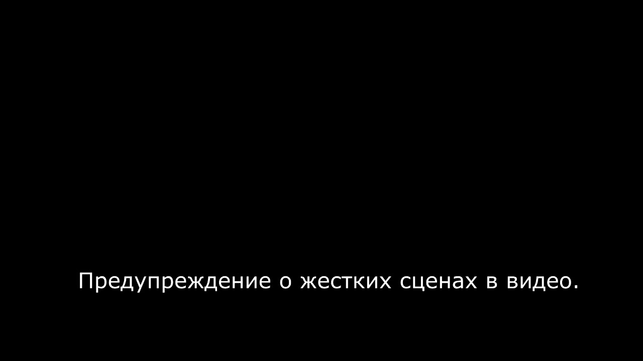 Отказался выйти из машины и был убит. Выпуск 7. Перевод Anna Sibi