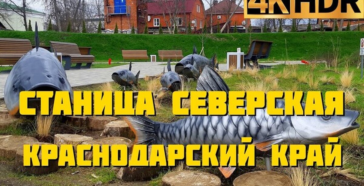 Клуб загородного отдыха в станице северской