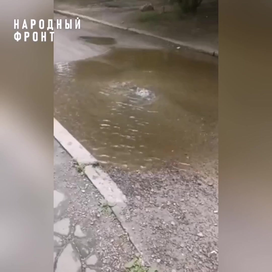 Видео прикол в телеграмме фото 37