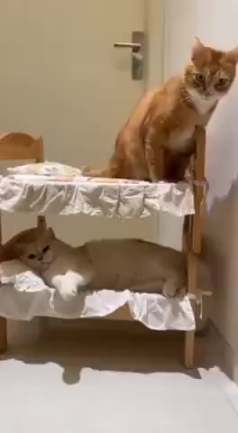 Типичный сосед сверху⁠⁠