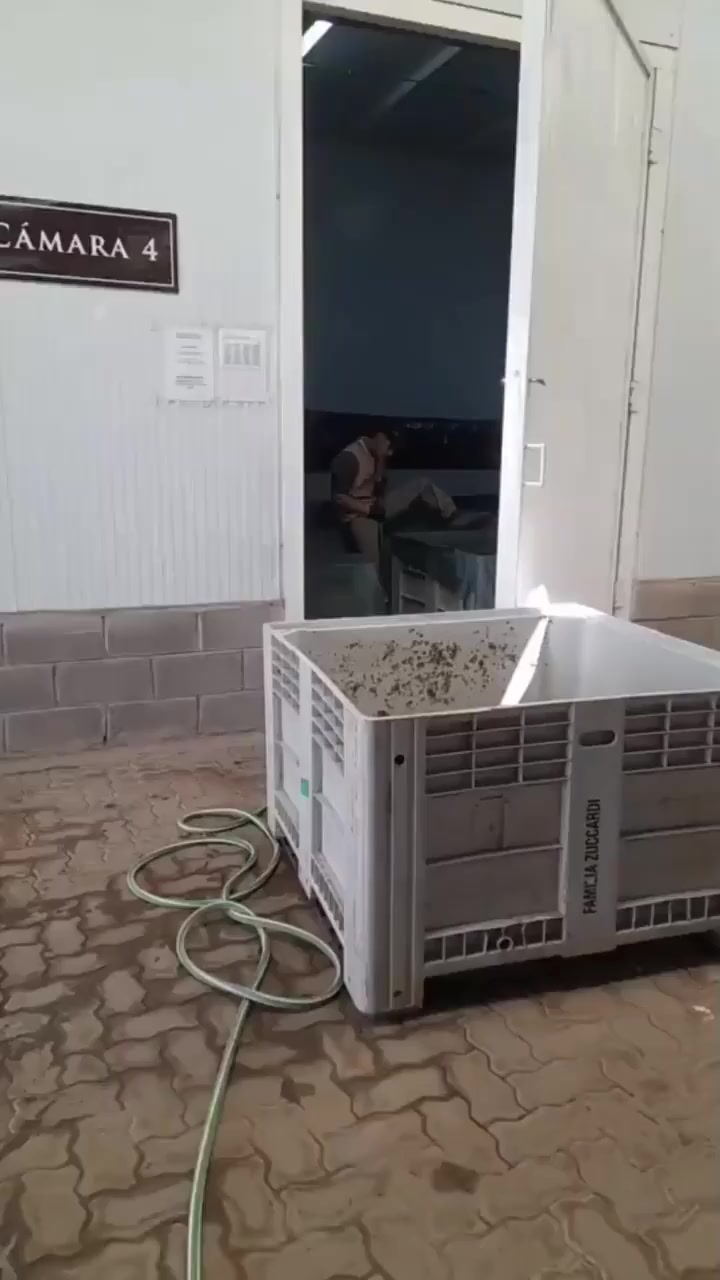 В душе романтик⁠⁠