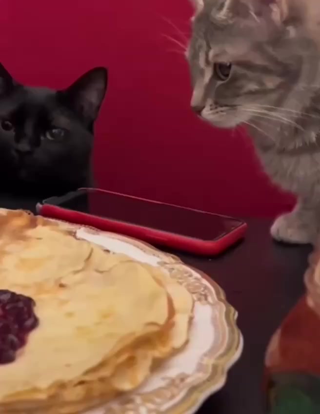 Котфискация⁠⁠