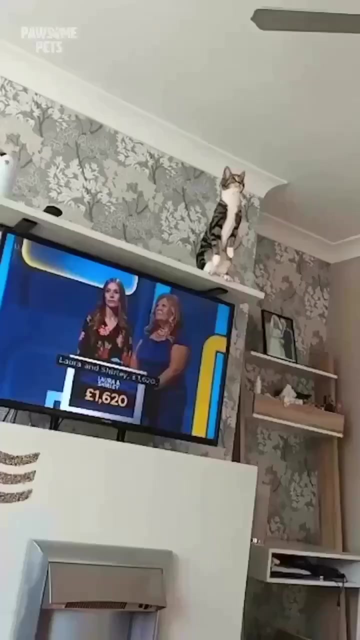 Уииииии⁠⁠