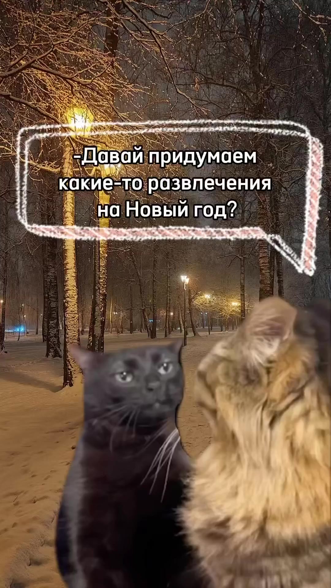 В общем-то планы на НГ уже определены