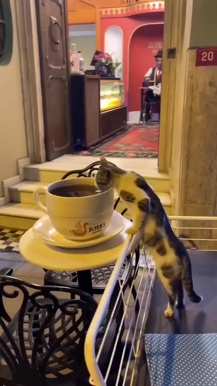 Чашка кофе, которая нужна с утра: