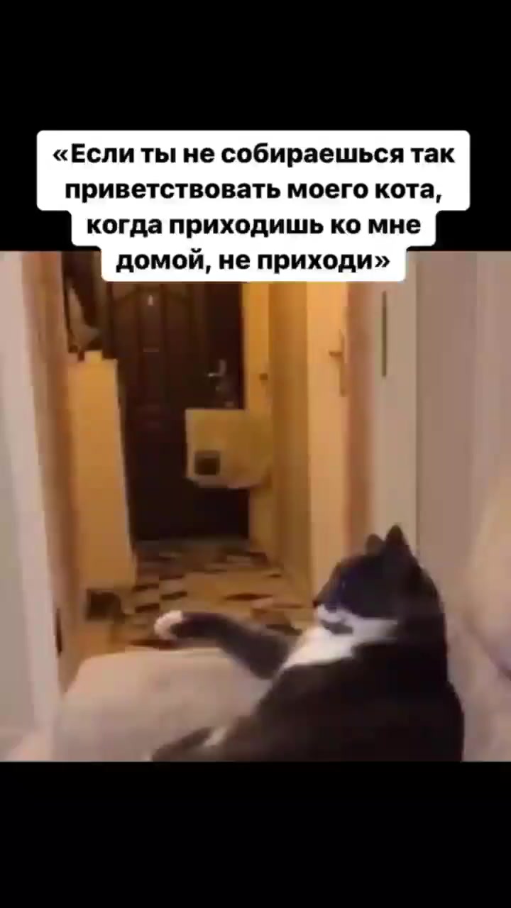 Приветствие