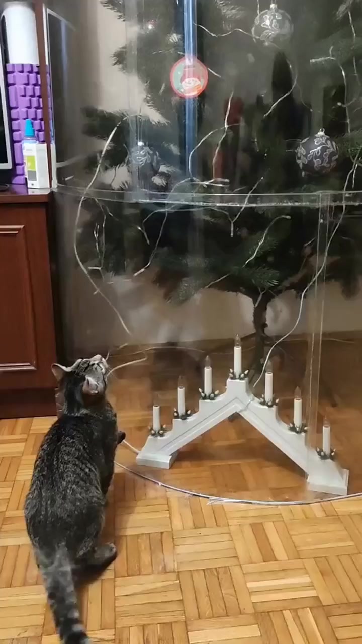 Подлые нехорошие людишки