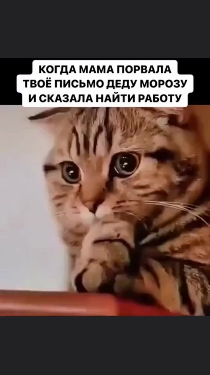 ВСЕ!