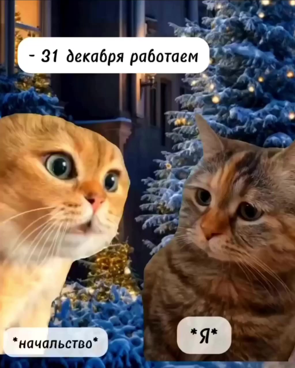31го работаем