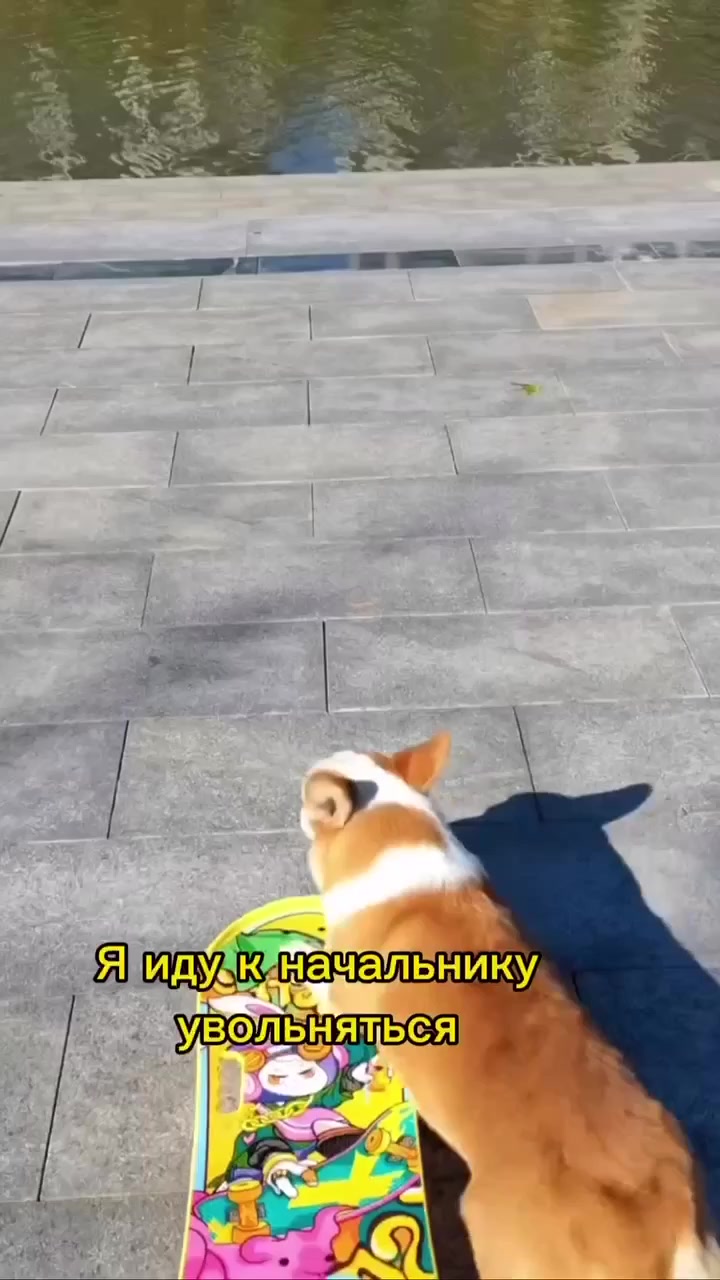 Премия
