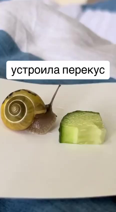 Вкусно, но грустно