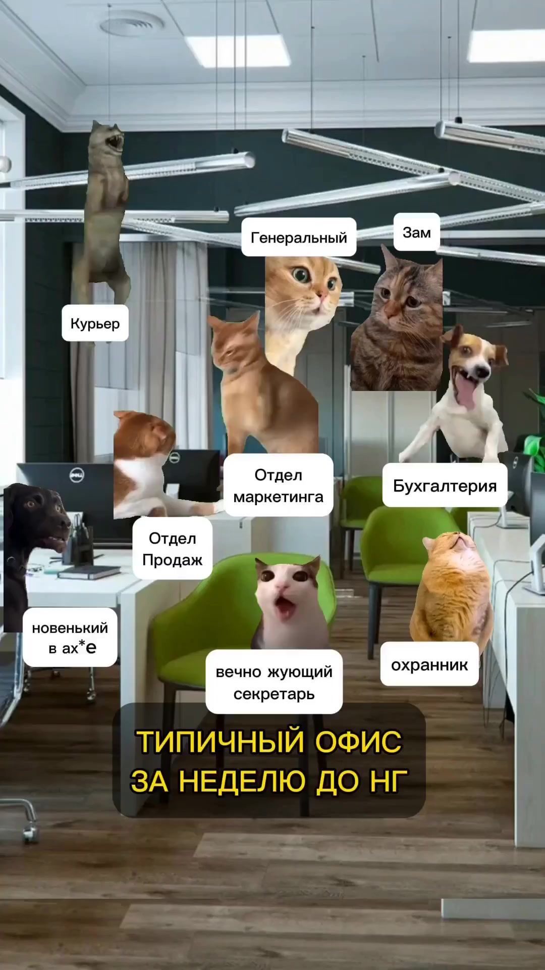 Ху...та полная, но я залип