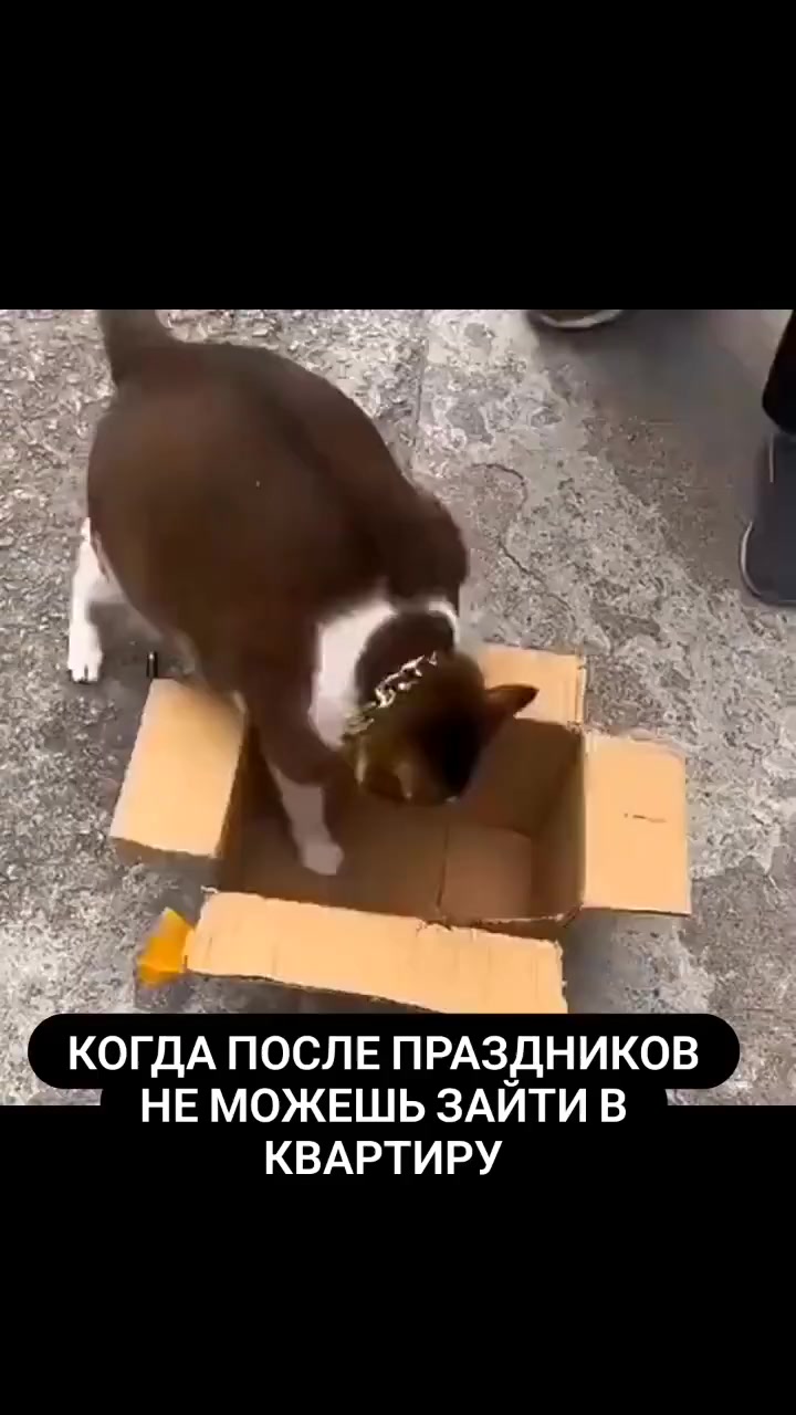 Состояние после праздников