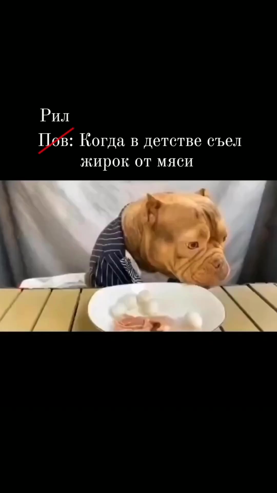 Когда в детстве съел жирок от мясо
