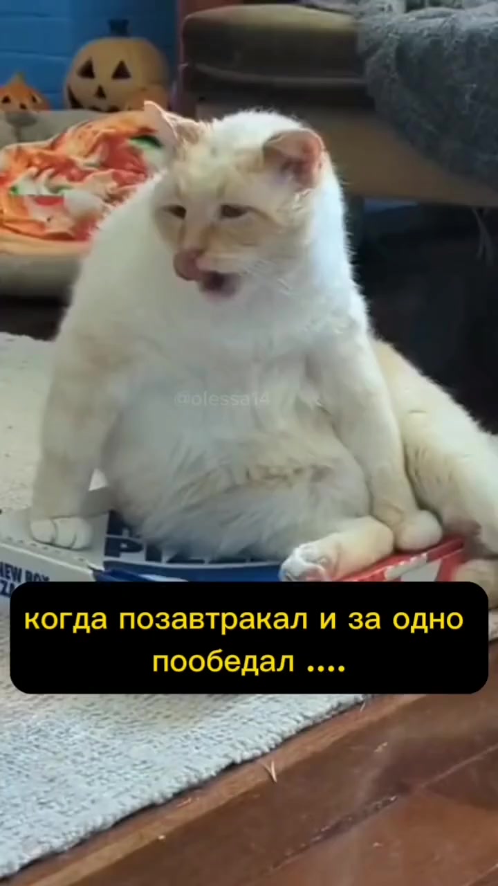 Можно тогда уже и поужинать