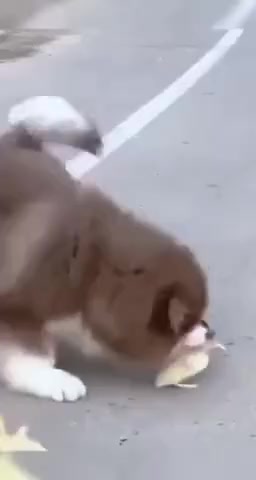 Вот так бывает