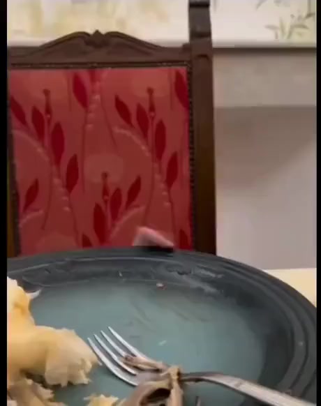 Язык "на разведке"