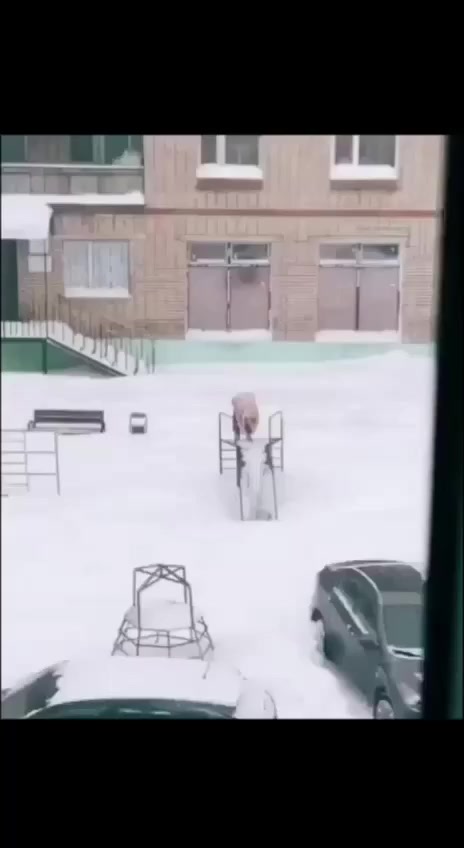 Пока родители не видят