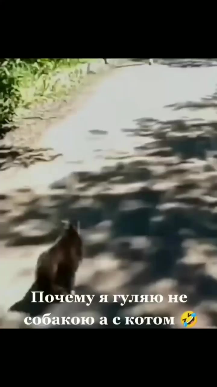 Бесстрашный воин