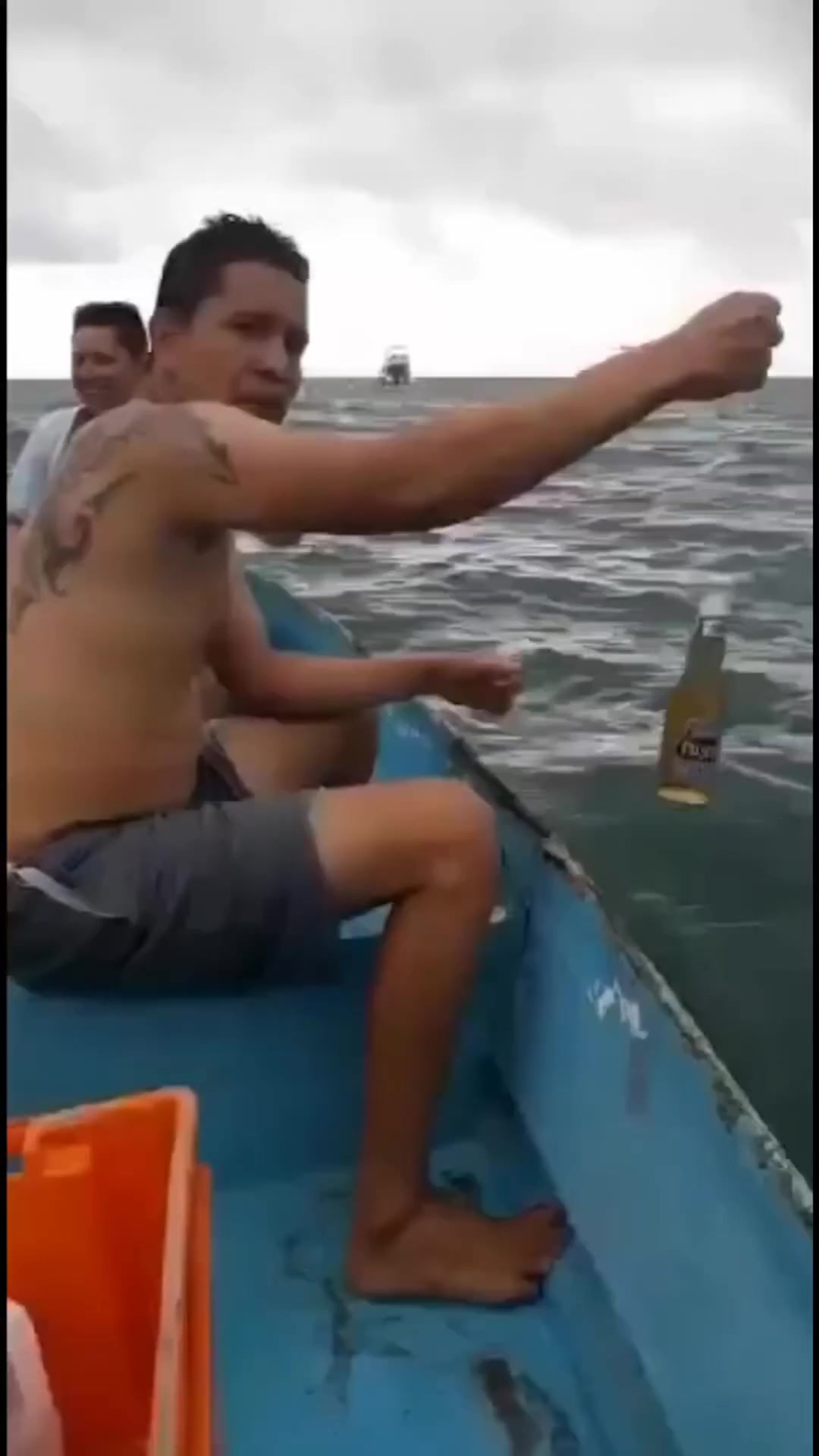 Вот это улов