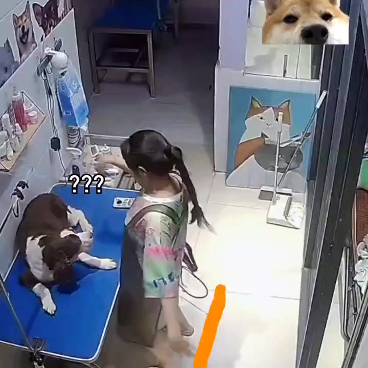 Тайские грумеры)))