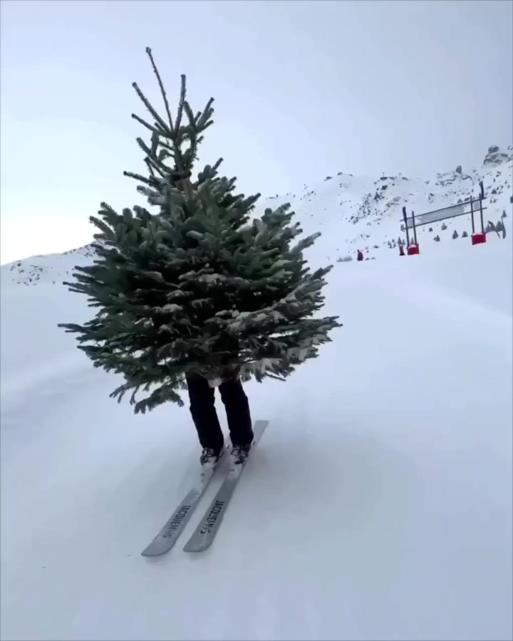 Врываемся в новогодние праздники