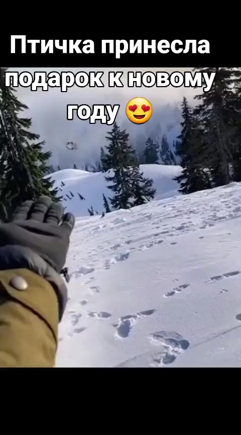 Ну спасибо