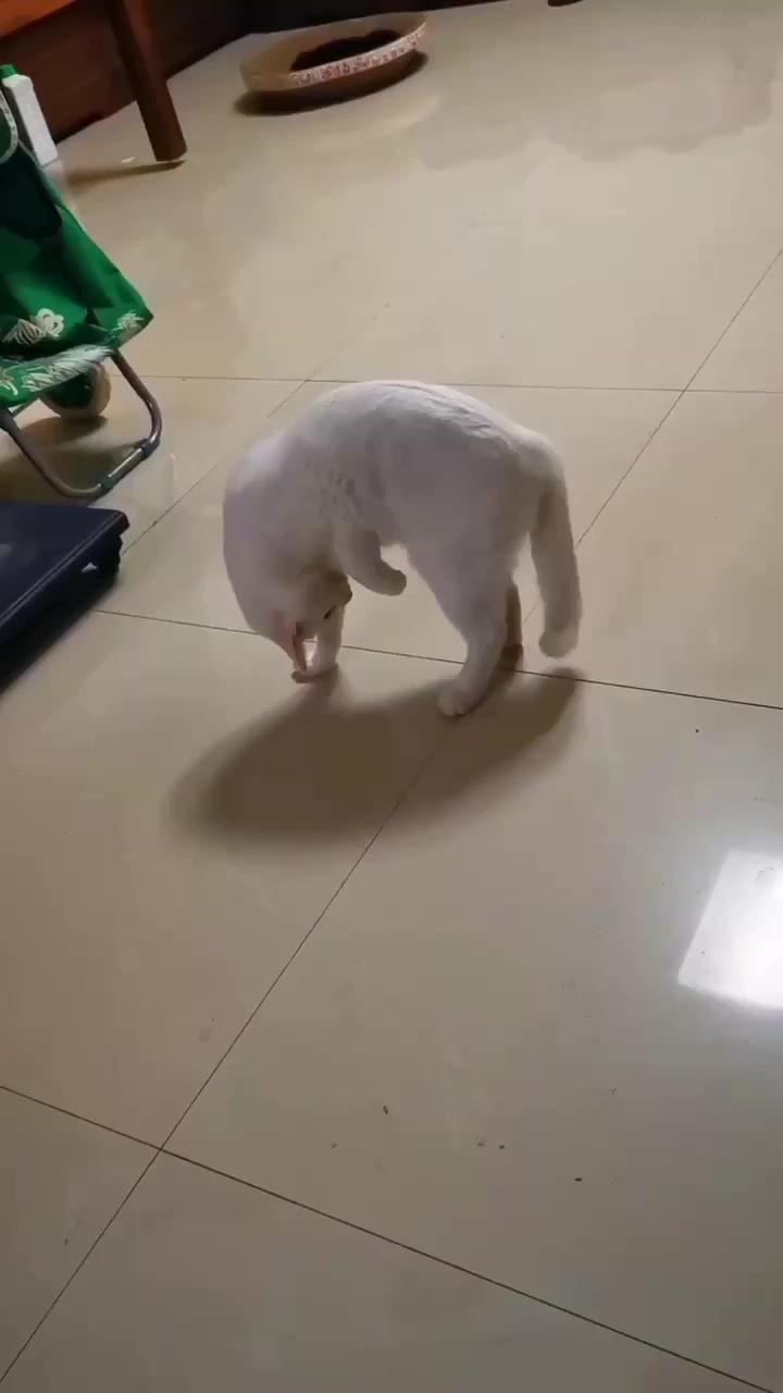 Что это тут у нас