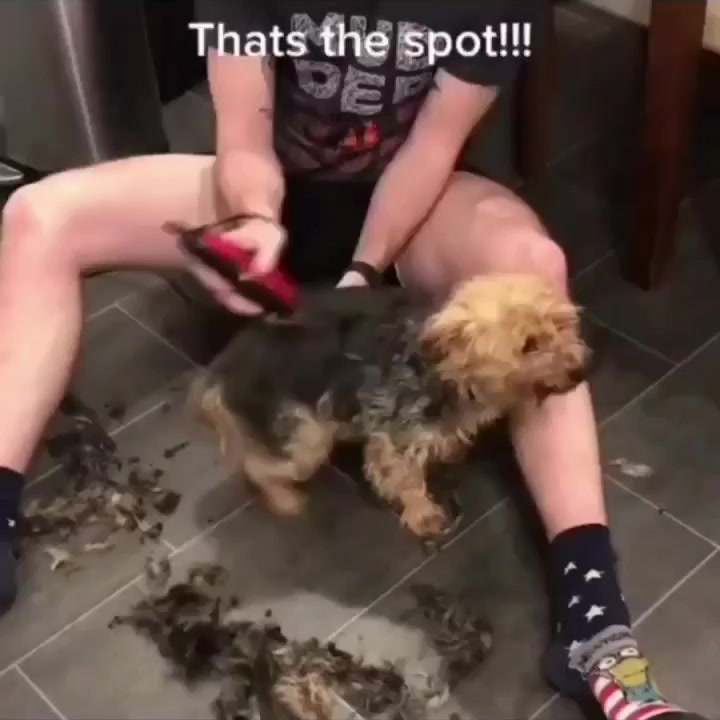 Заводная игрушка