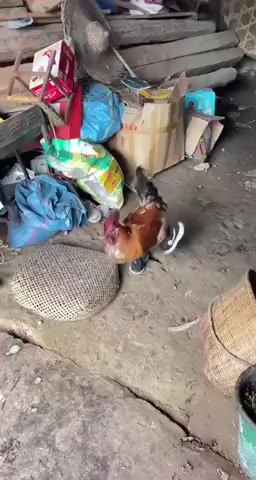 Когда купил новые Найки